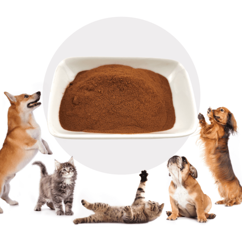 Understanding the science behind pet food palatability – Profypet Pet Food  Palatant