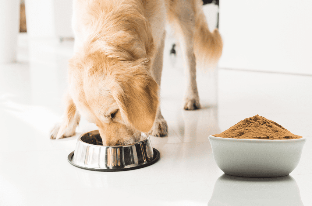 What is pet food palatability enhancer? – Profypet Pet Food Palatant