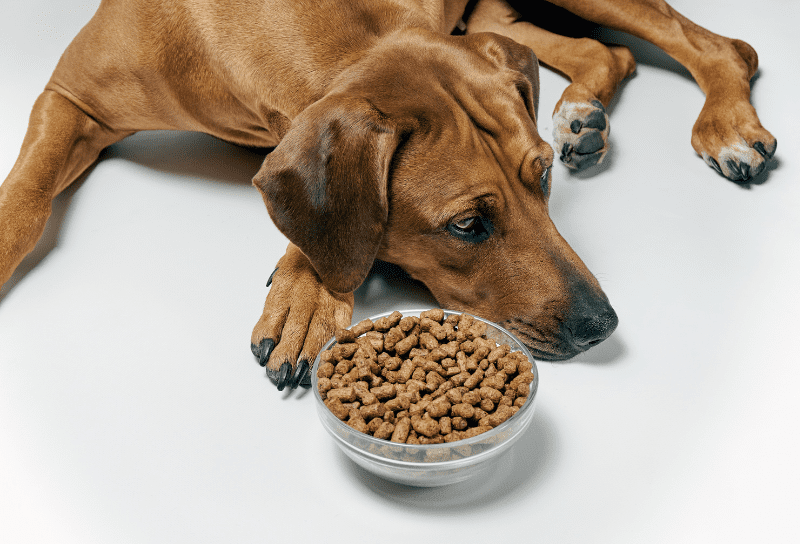how to make dog biscuits more appealing