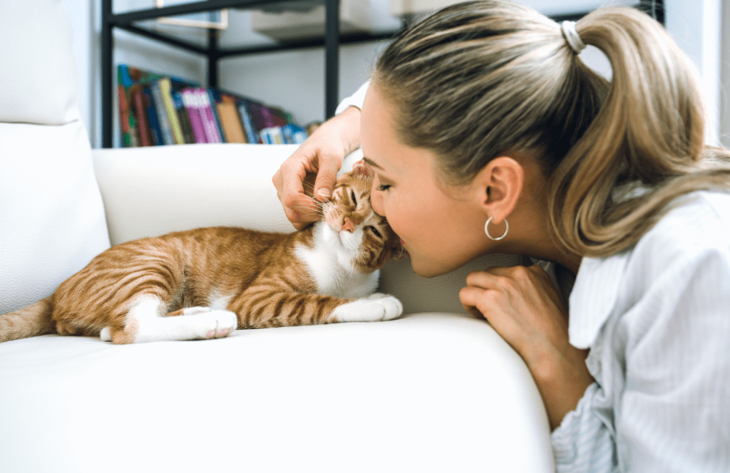 Cat food palatability enhancers