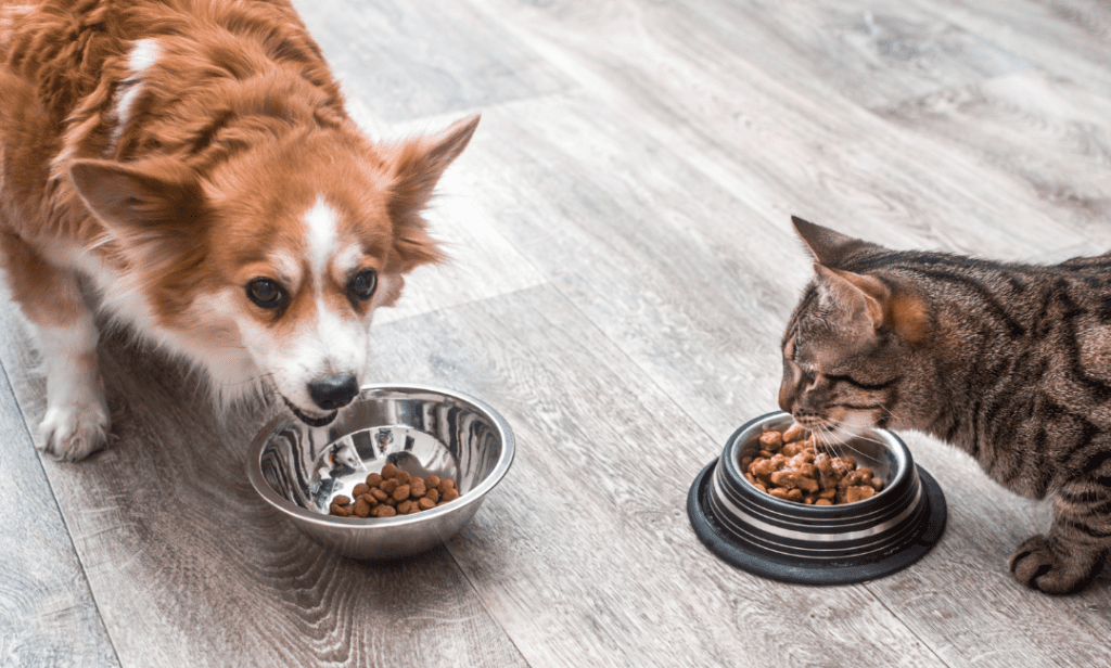 PET FOOD PALATABILITY ENHANCER
