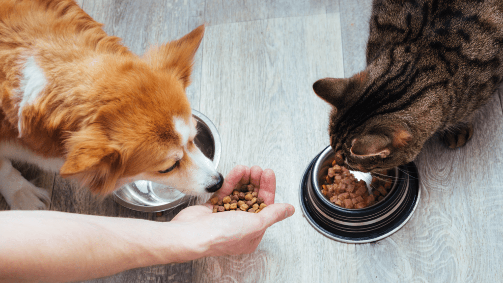 Dry Pet Food with Increased Palatability