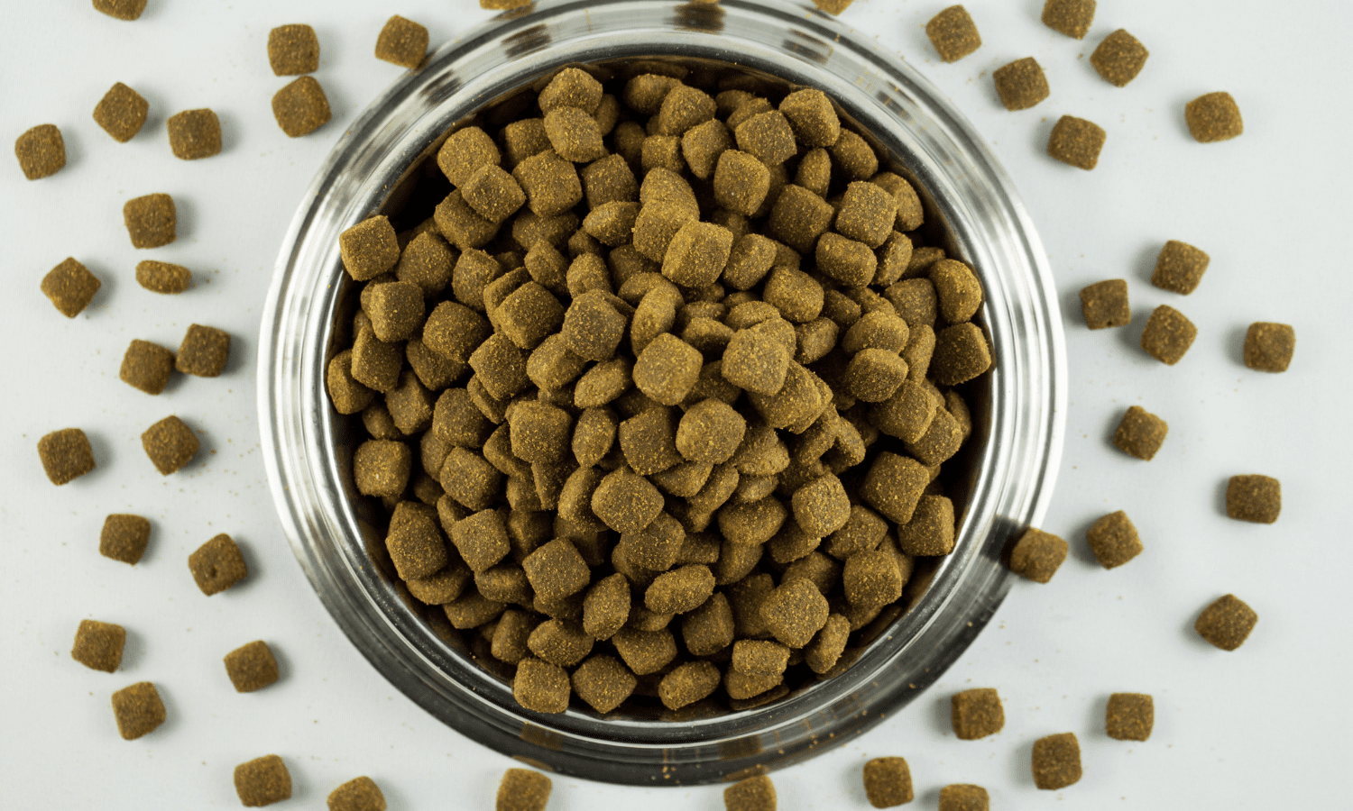 Unleashing the Power of Dog Food Flavor Enhancers Enhancing Mealtime