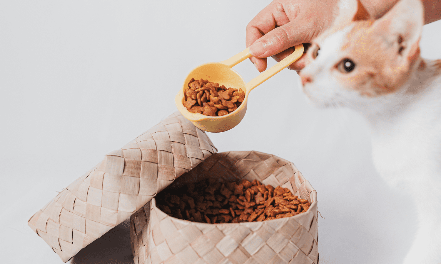 Enhancing Pet Food Palatability A Comprehensive Guide to Pleasing Your