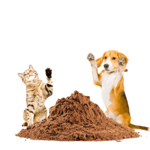 dog food additives for picky eaters dry appetite booster chicken liver powder for cats chicken flavor for food cat