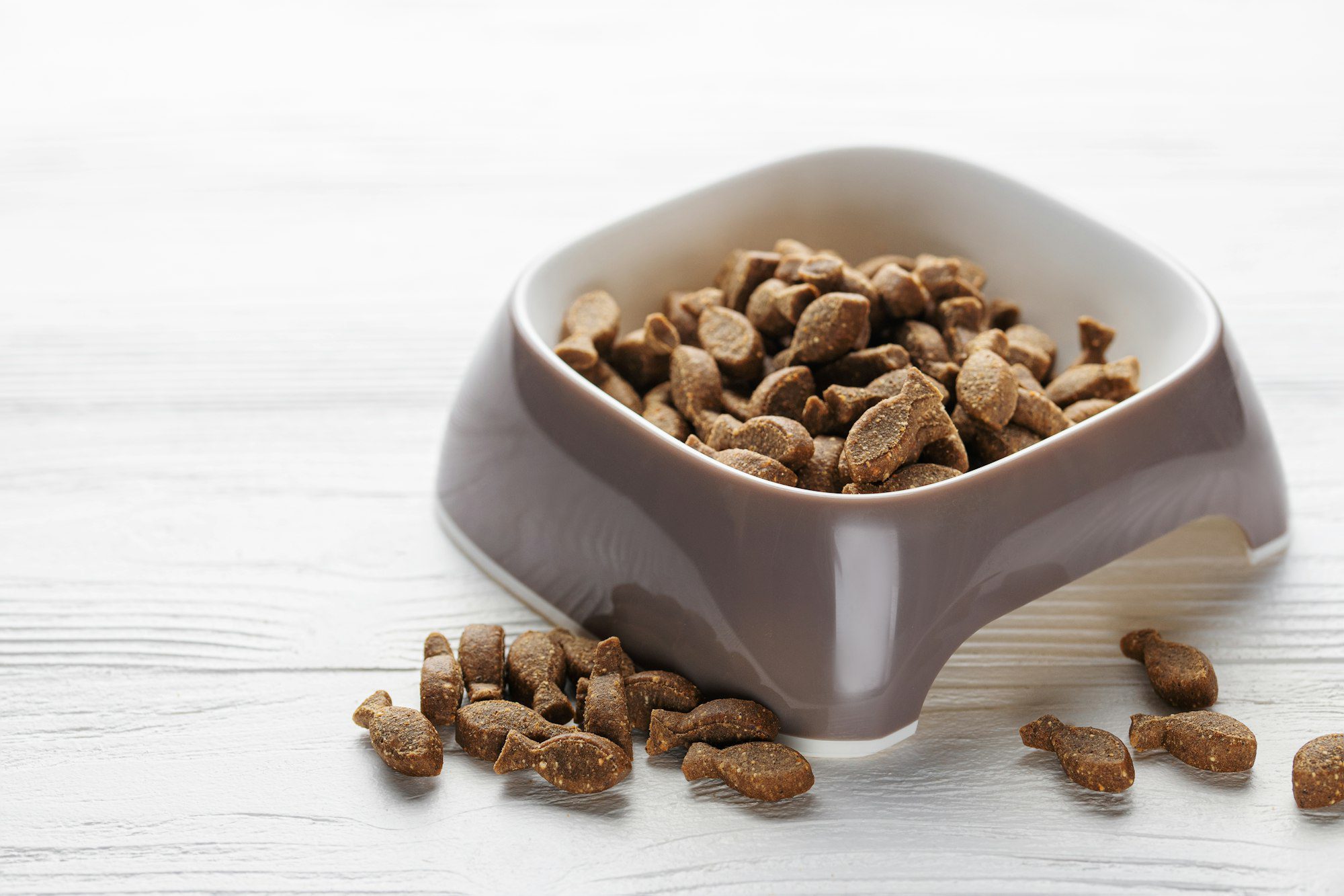 A bowl of dog food on a wooden floor.