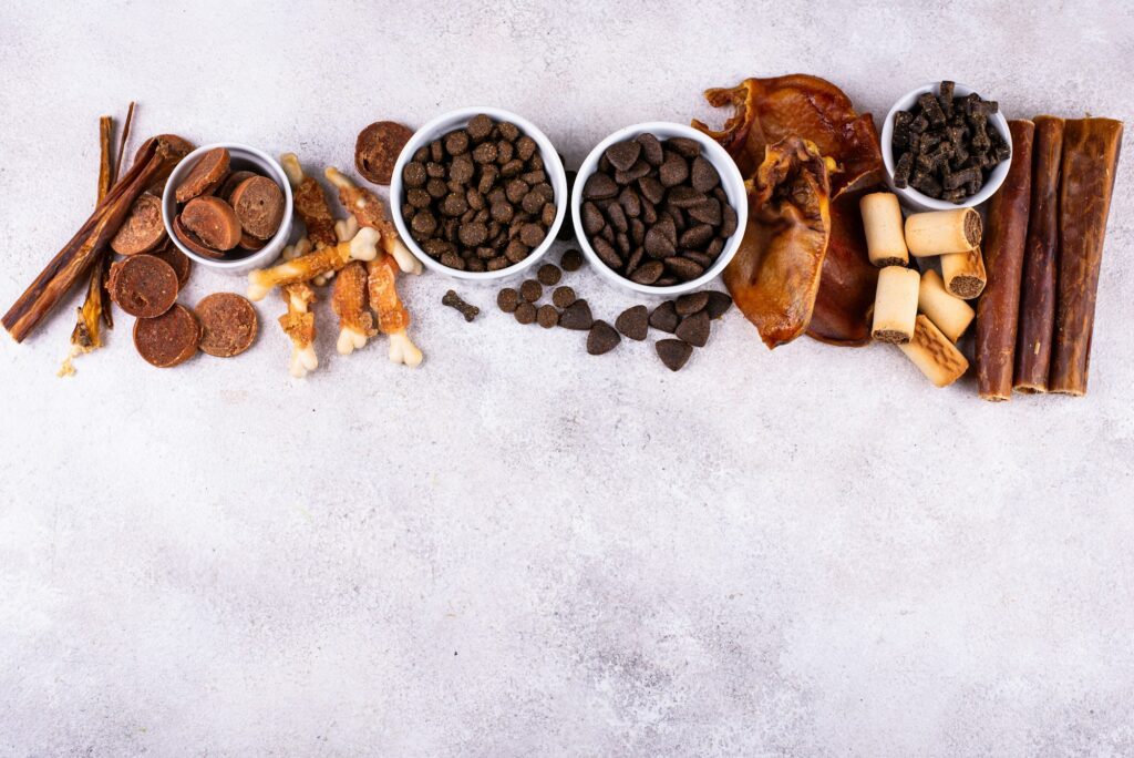 Assortment of different dog treats and snack