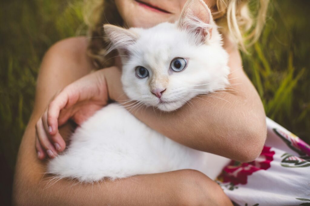 Cropped view of girl hugging cat