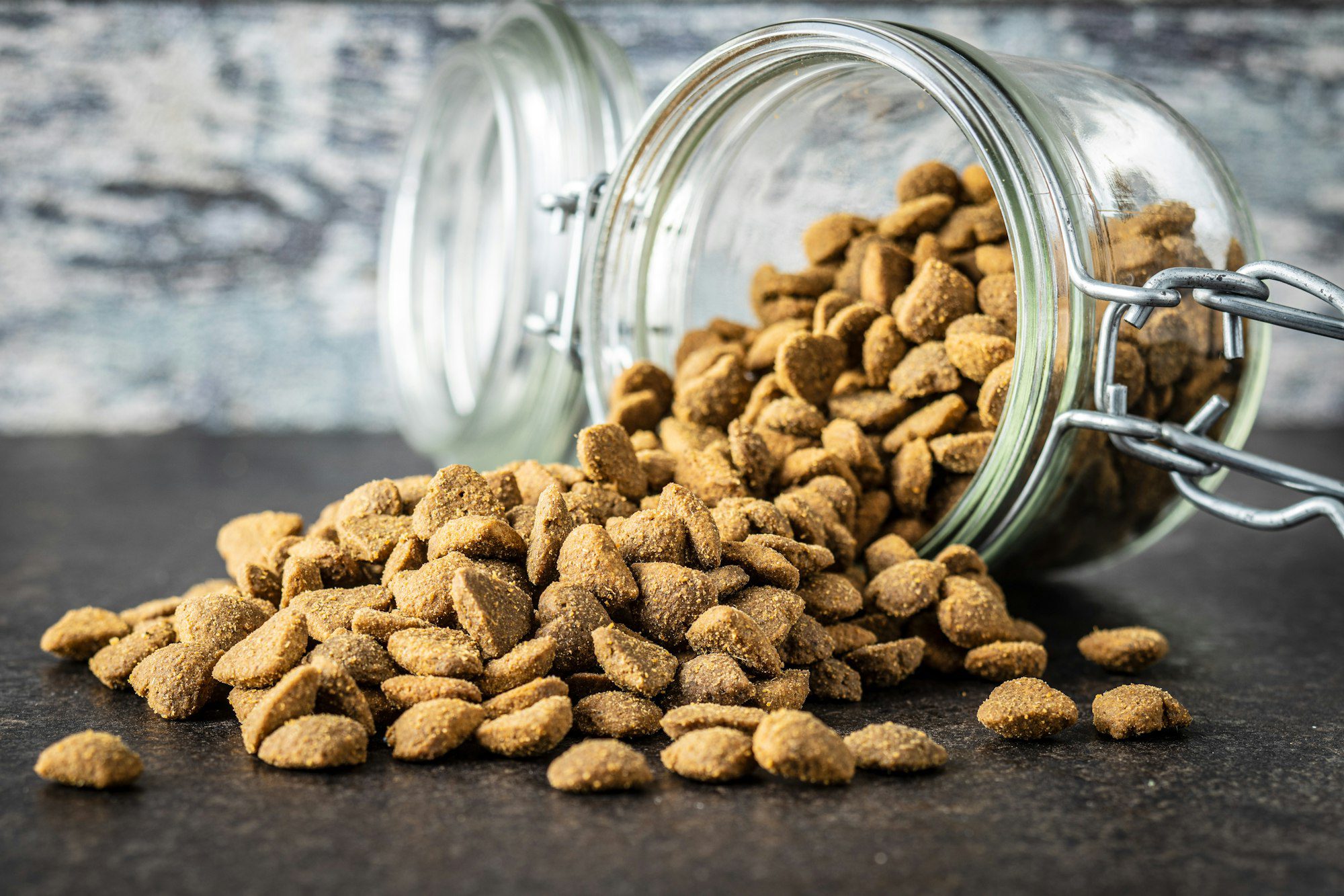 Dried kibble pet food. Heart shape dried animal food.