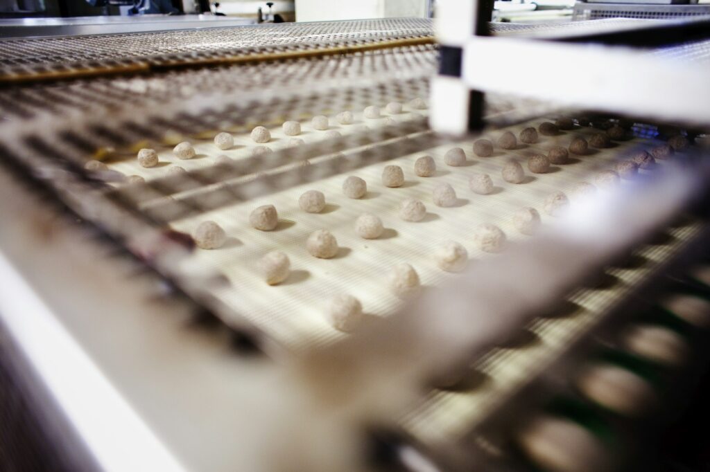 Food being processed in factory