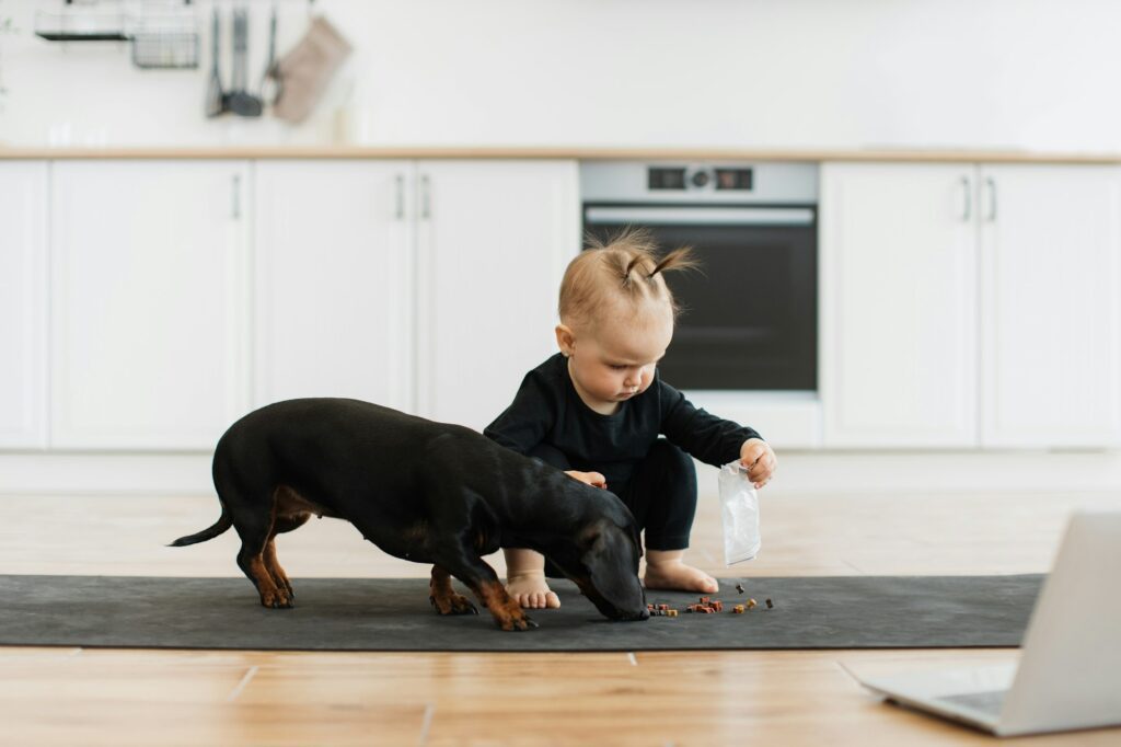 Infant girl feeding pet with dog food on mat in kitchen