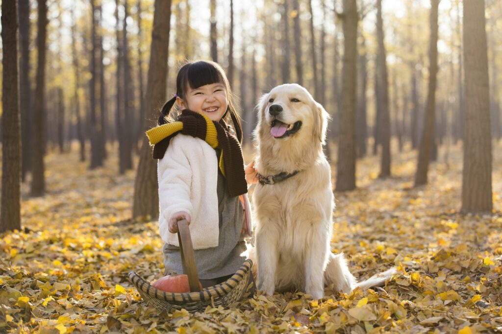 Little girl playing with dog in autumn woods