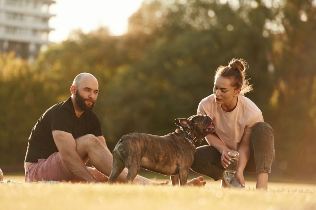 Man and woman are with dog on the field