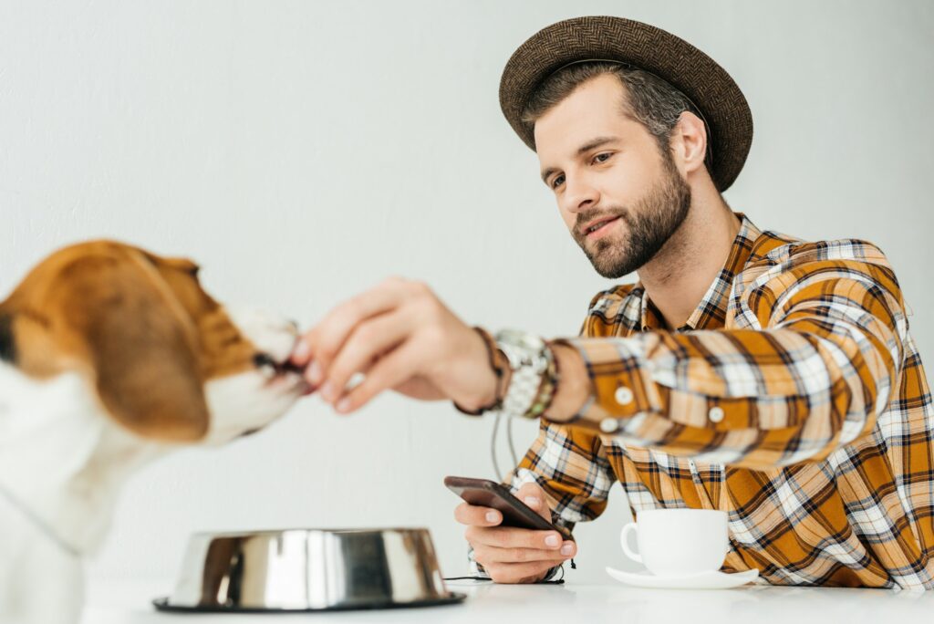 man feeding cute beagle with dog food