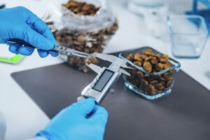 Pet Food Safety Test. Measuring Dry Pet Food Kibble with Caliper in Laboratory