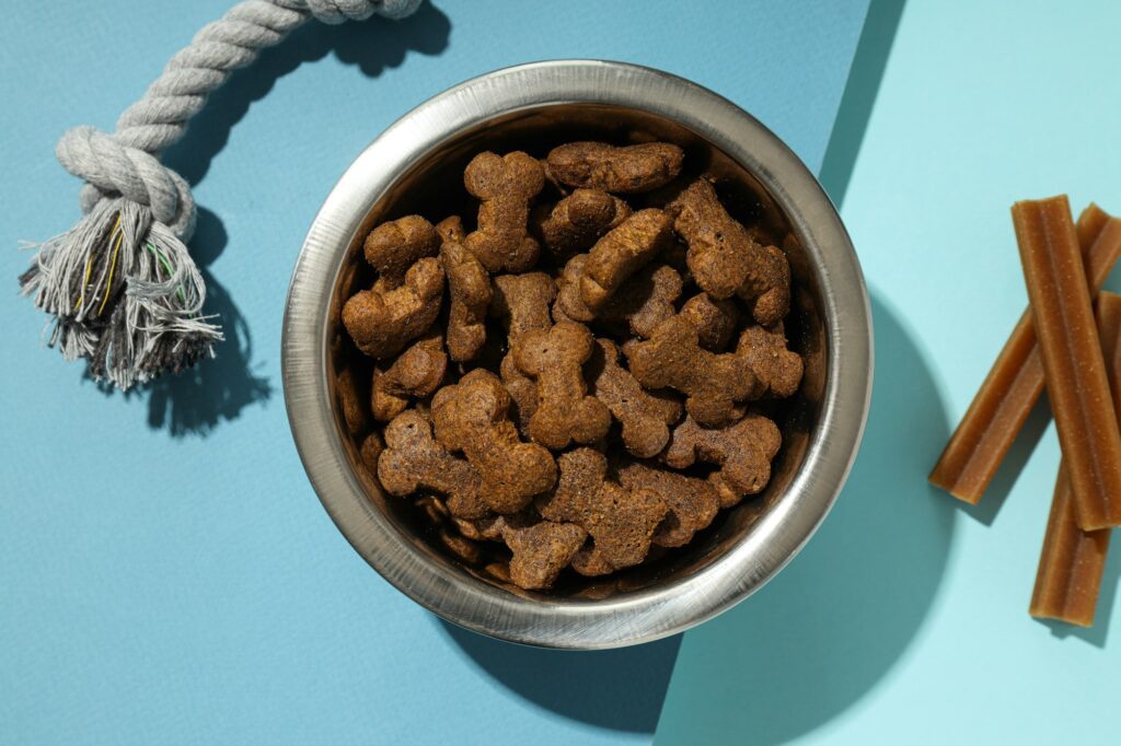 Tasty and delicious food for pet, pet accessories