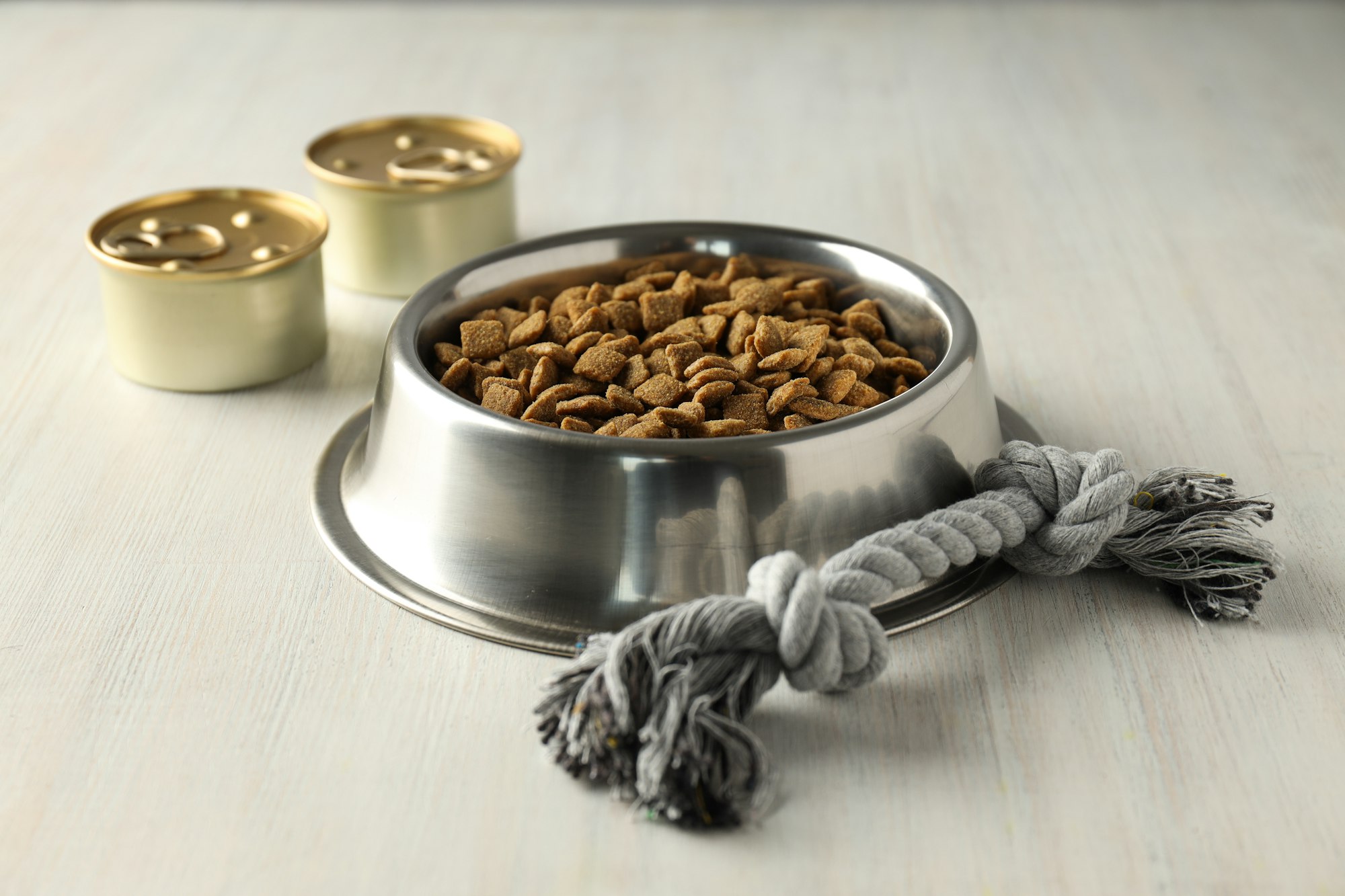 Tasty and delicious food for pet, pet accessories