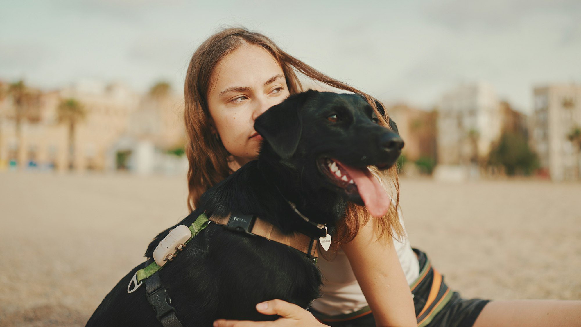 Сute girl is sitting on the sand on the beach with her pet