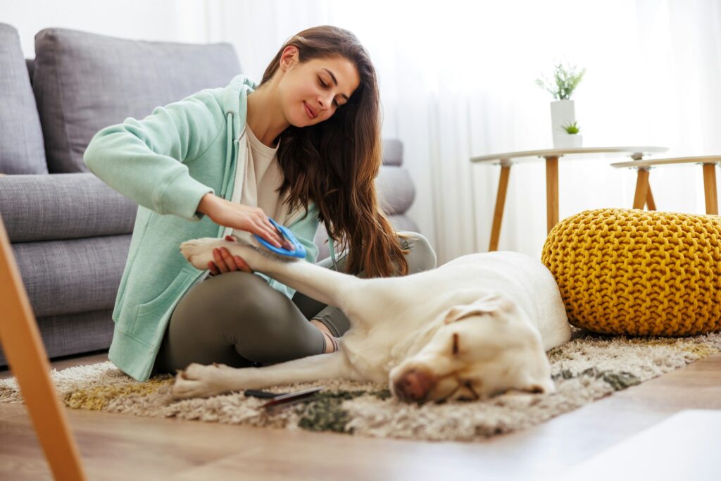 Woman brushing dog fur