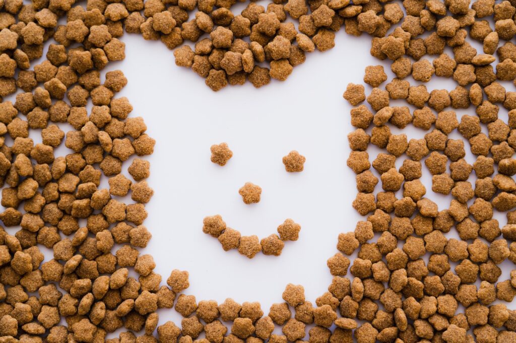 flat lay of dry pet food in shape of cartoon dog on white