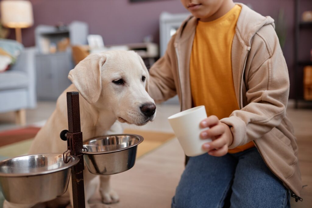 Little girl giving food to cute labrador puppy at home, pet care