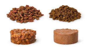 pet food palatants