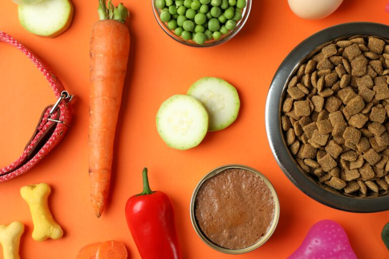 Concept of organic pet food on orange background
