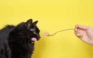cat food flavor enhancer