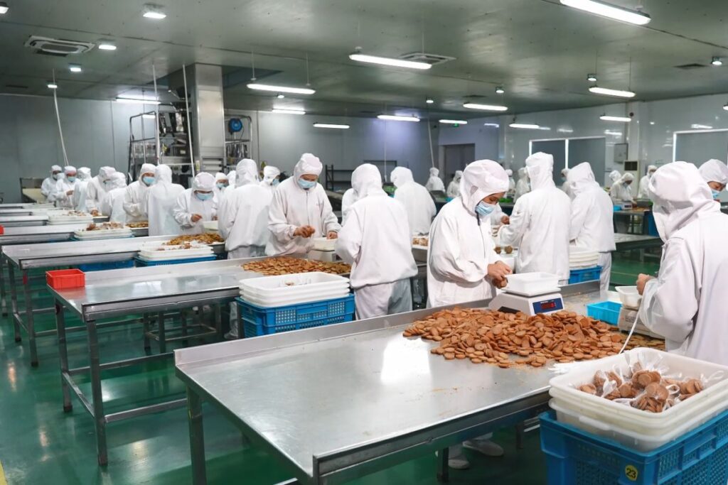 Meat Filling Machine