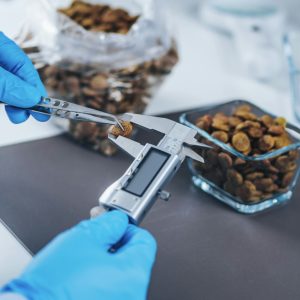 pet-food-safety-test-measuring-dry-pet-food-kibble-with-caliper-in-laboratory pet-food-safety-test-measuring-dry-pet-food-kibble-with-caliper-in-laboratory
